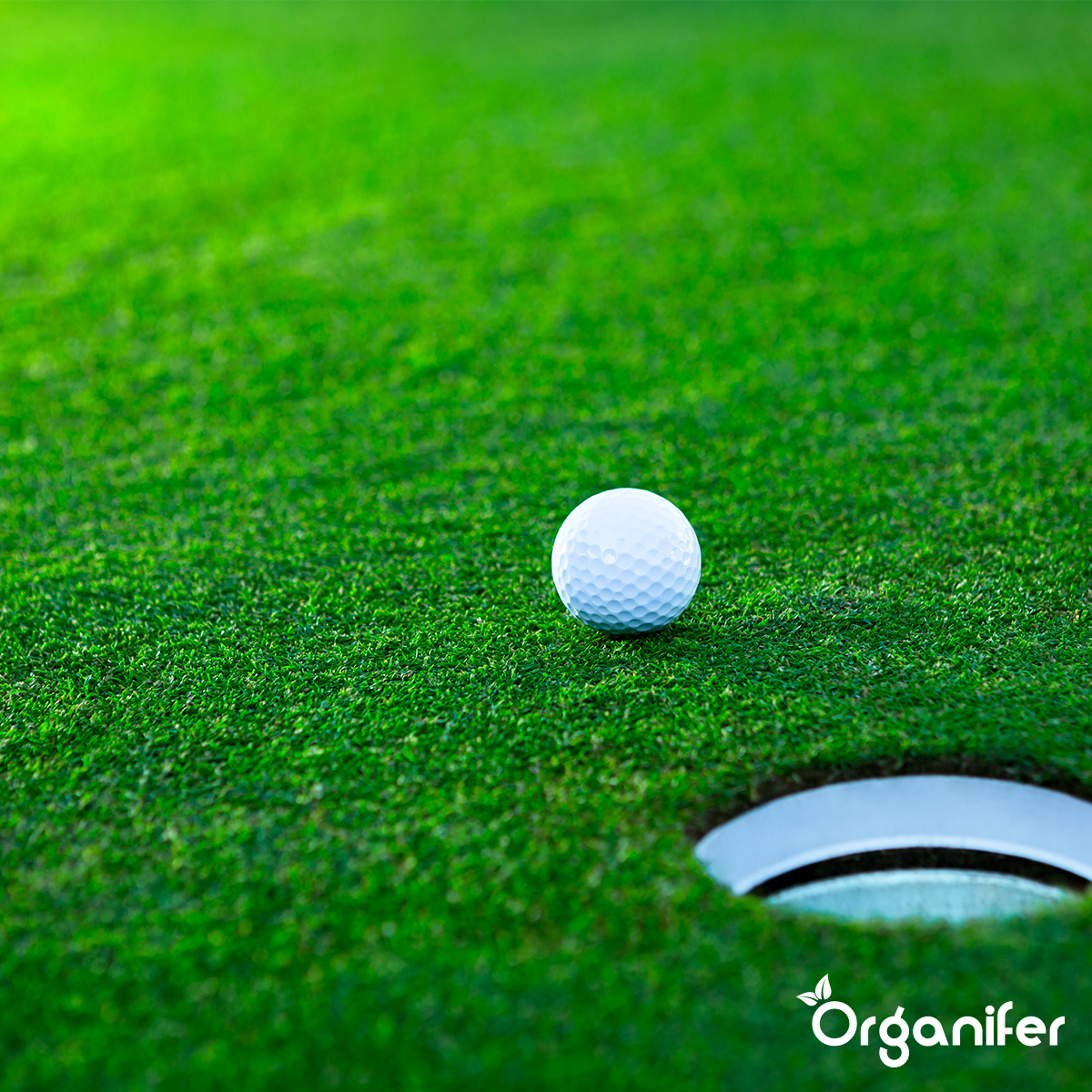 Golfbaan Organifer