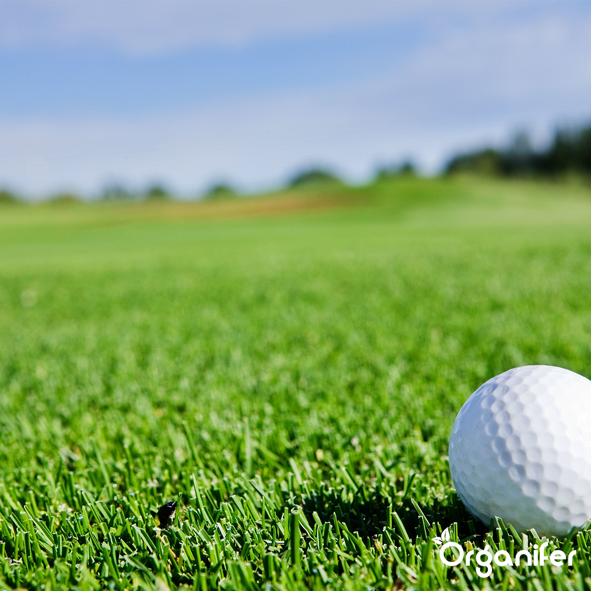 Golfbaan bemest met organifer