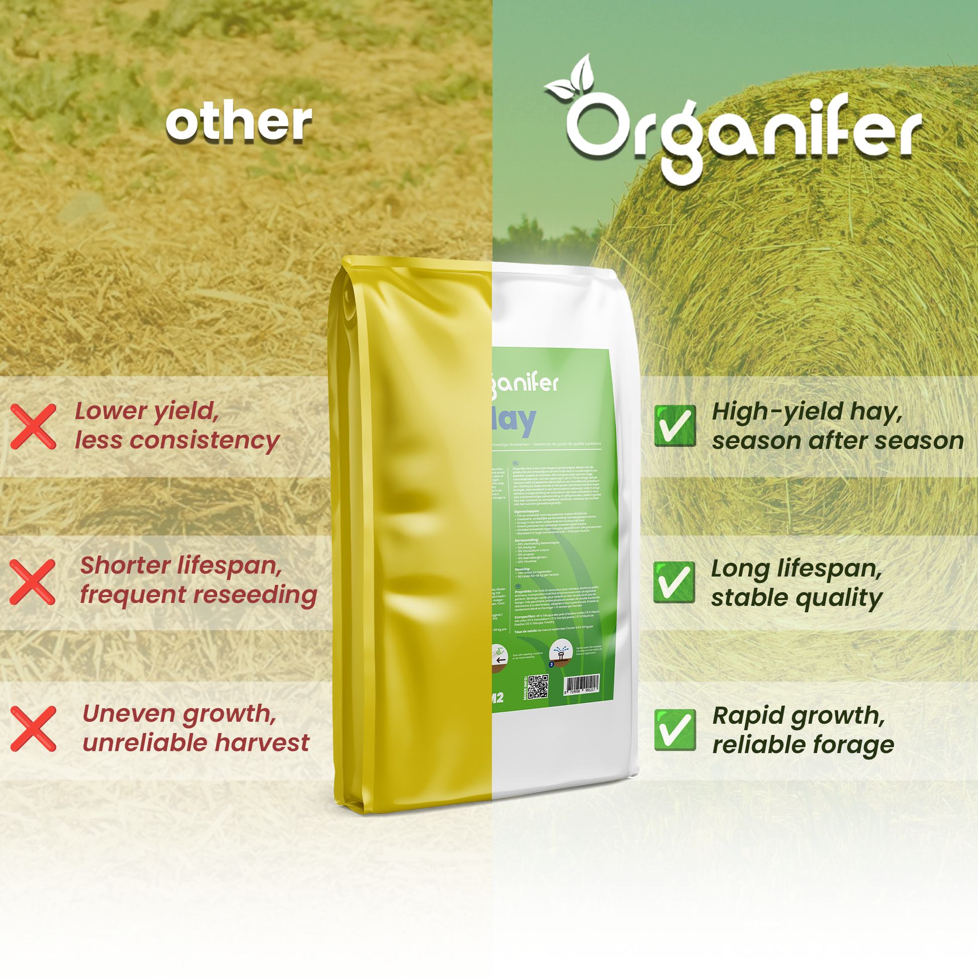 Hay Grass Seeds Compare