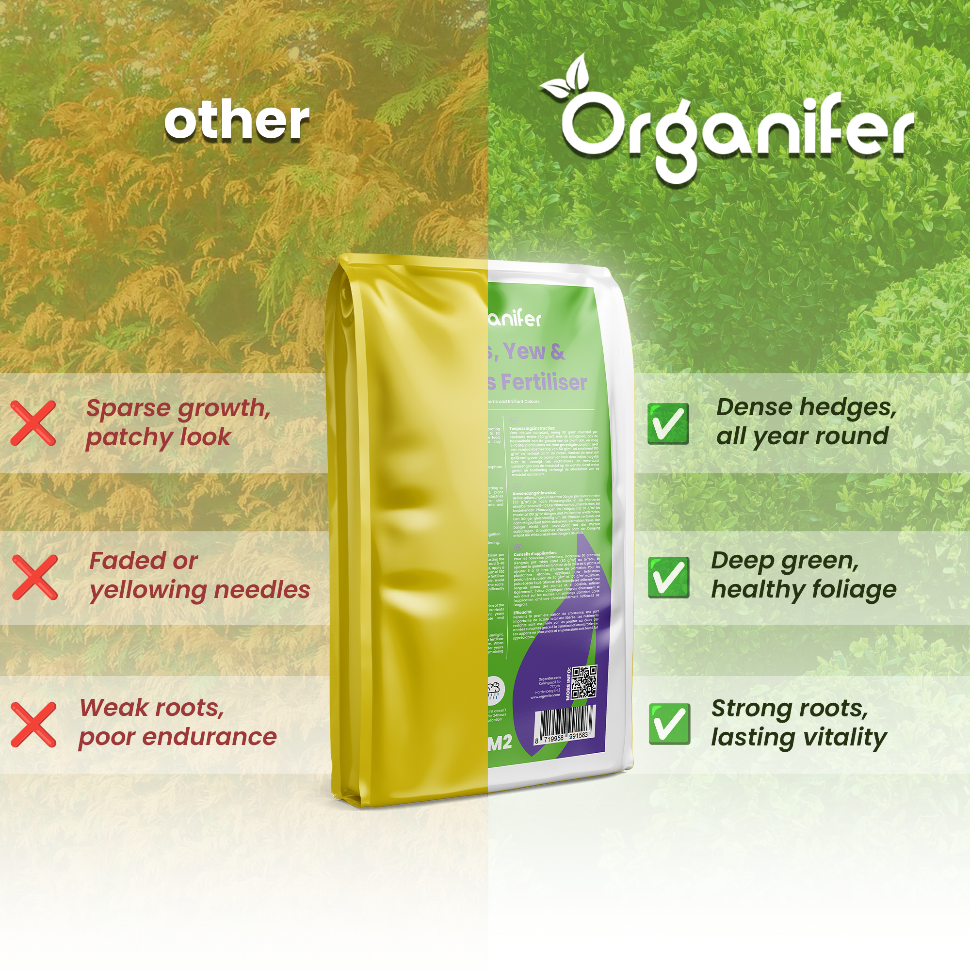 Hedges, Yew & Conifers Fertiliser All-In-One Compare