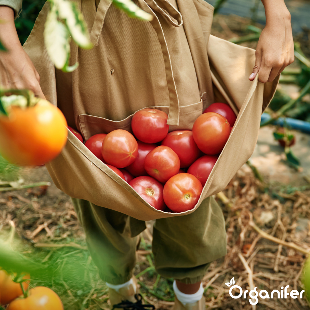 Horn Shavings 1-6 mm Organic Nitrogen Fertiliser 3