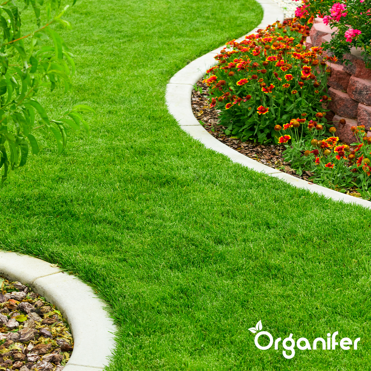 IJzersulfaat Meststof - Mos verwijderaar - 5kg -Voor 200m2