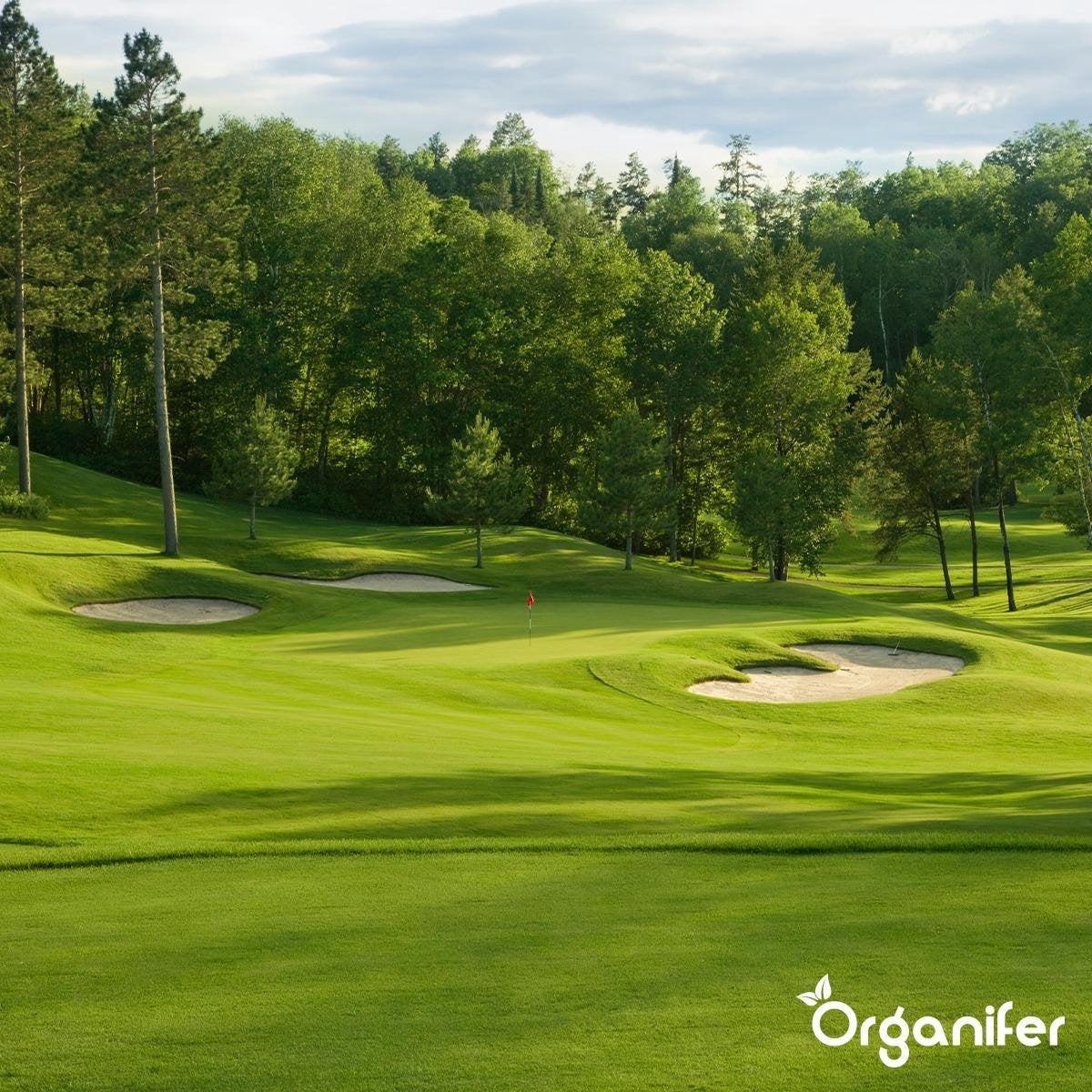 Kalk Meststof met magnesium (20 kg – voor 400 m2)