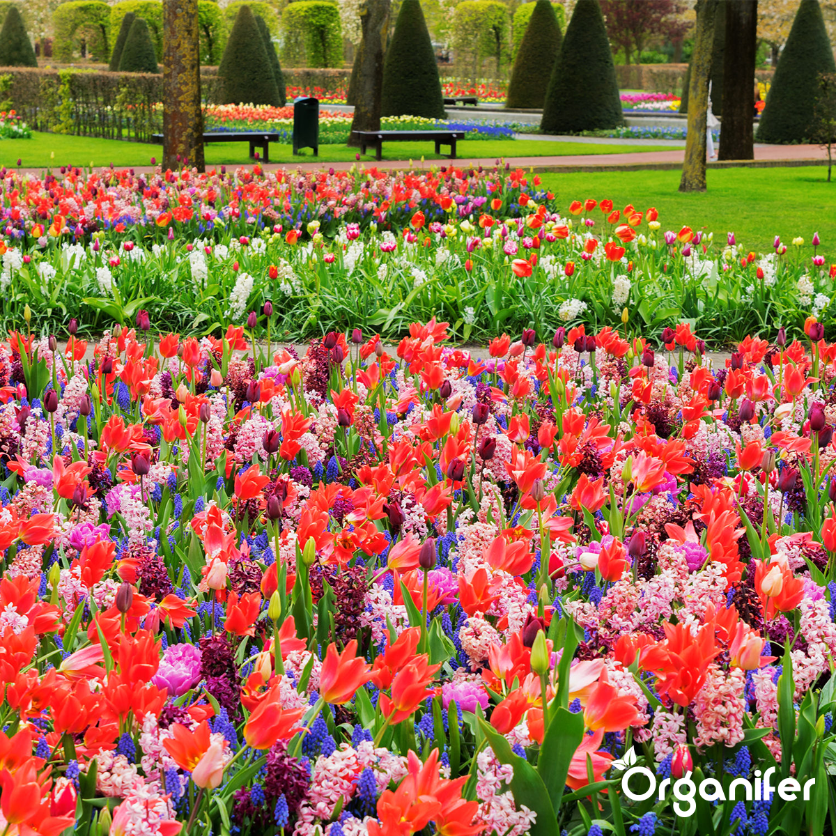 Lavameal iz Eifelske pradavne kamnine (24x = 480 kg Za 4800 m2)