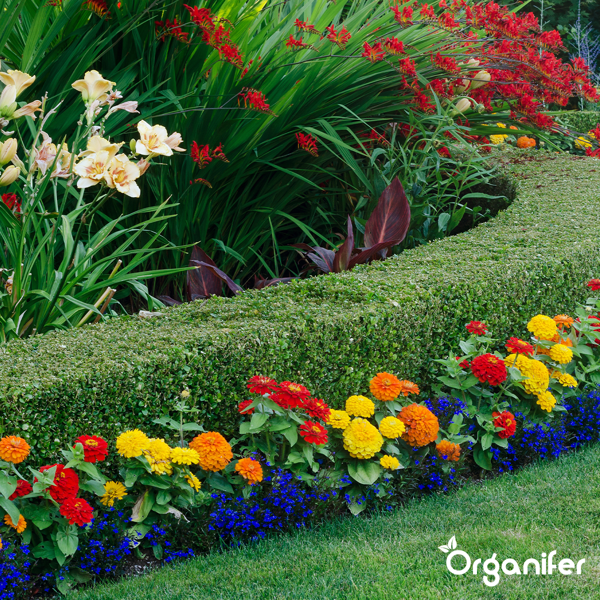 Mączka lawowa z pierwotnej skały z Eifelu (20 kg – Na 200 m2)