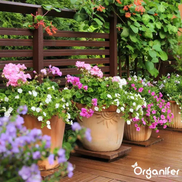 Kapselit lehtihyönteisille - 144 kpl