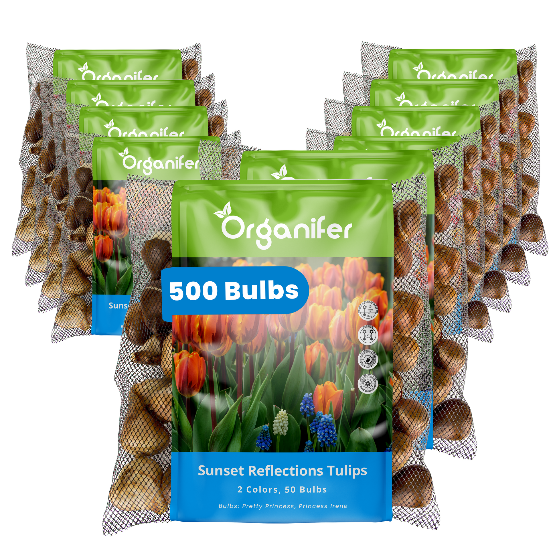 Multiple packages of Organifer sunset reflections tulip bulbs on a white background