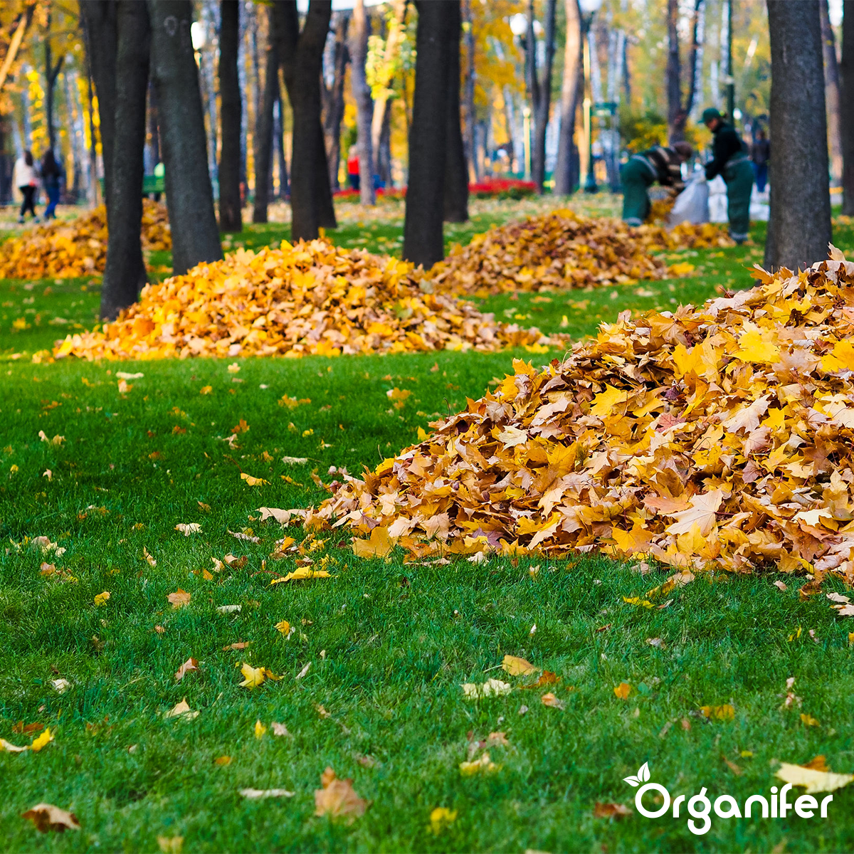 Najaar Meststof 3in1
