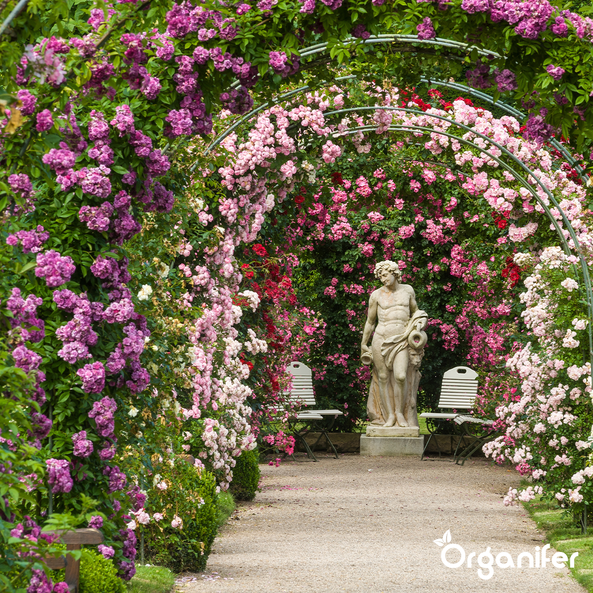 Nematode – Concentrat de Nematode pentru Sol – 5 L pentru 5000 m2