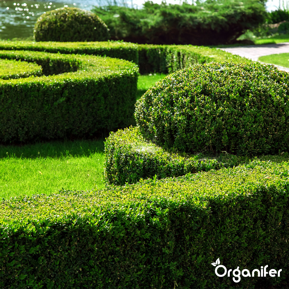 Lavameel fra Eifel Urklippe (12x = 240 kg - til 2400 m2)