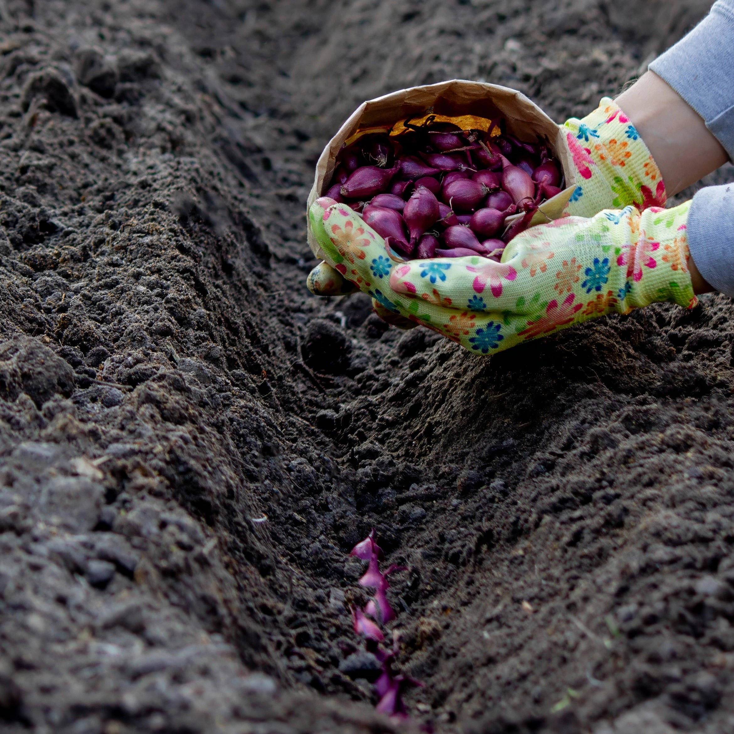 Increases Harvest Reliability