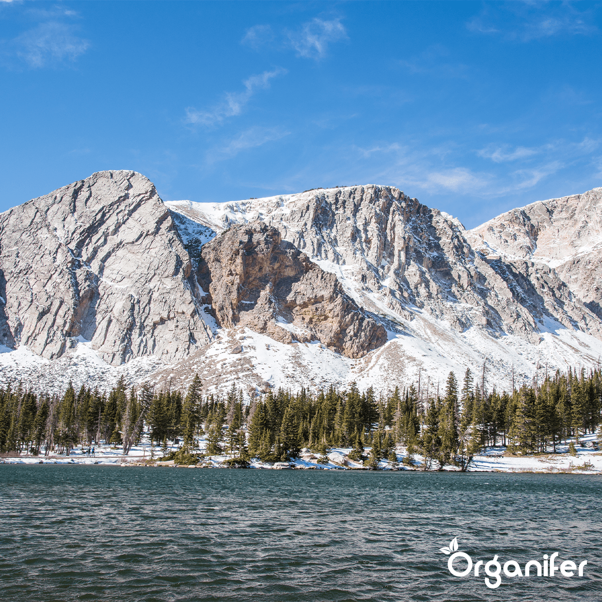 Bentonito molis – smėlingos dirvos gerinimo priemonė (24x = 480 kg - 4800 m2)