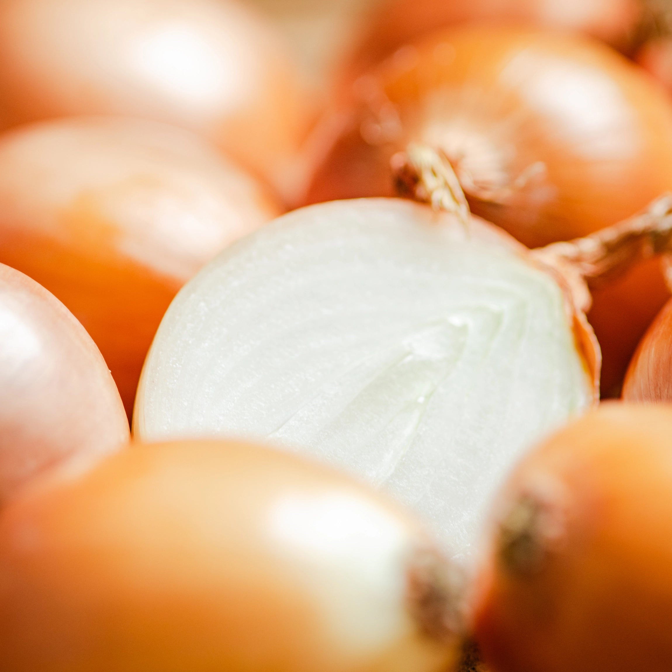 Spicy and Aromatic Flavour