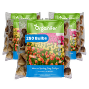 Organifer tulip bulbs packaging with colorful tulip illustration on a white background