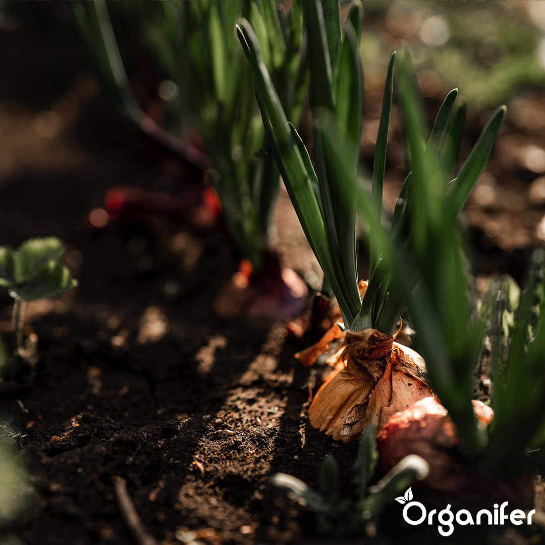 Package Plant Material 5