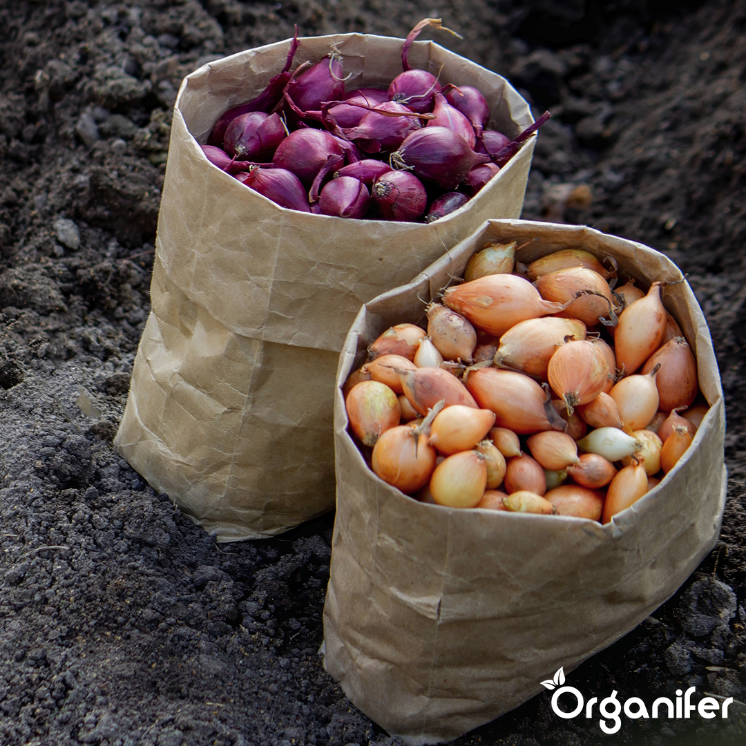 Package Plant Material 8