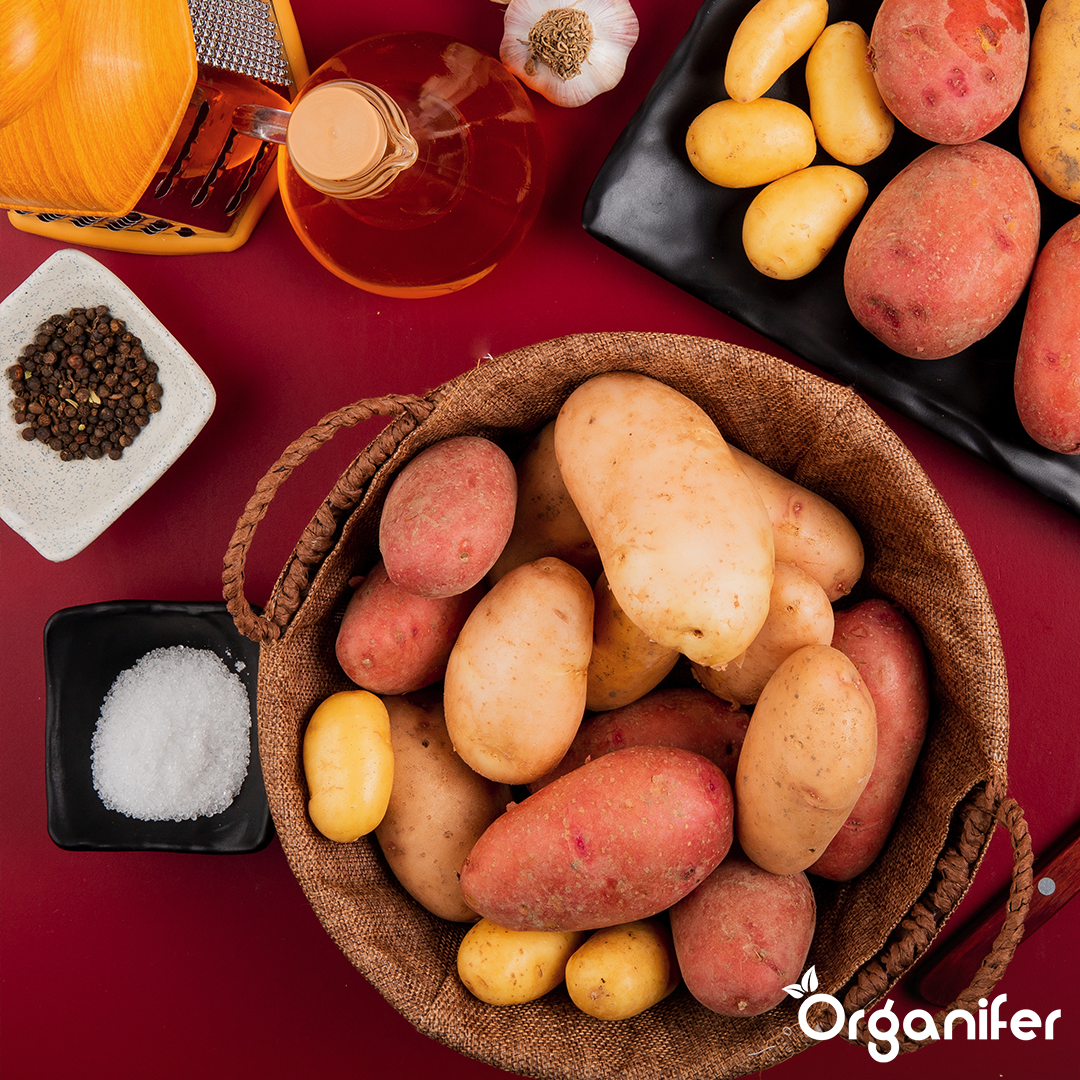 Package Seed Potatoes BIO + Package Planting Material BIO 1