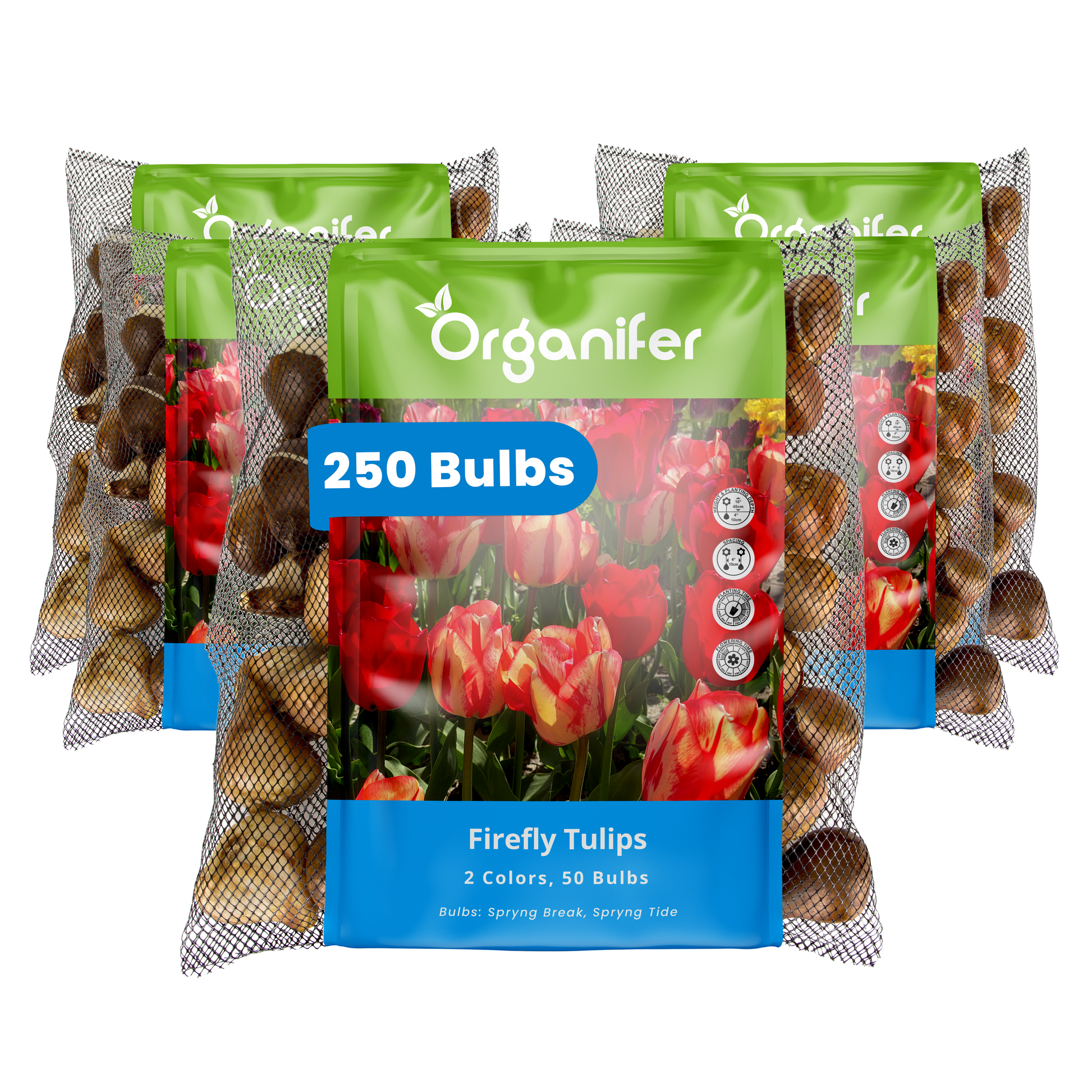 Packaging of Organifer Firefly Tulips bulbs with green and blue design.