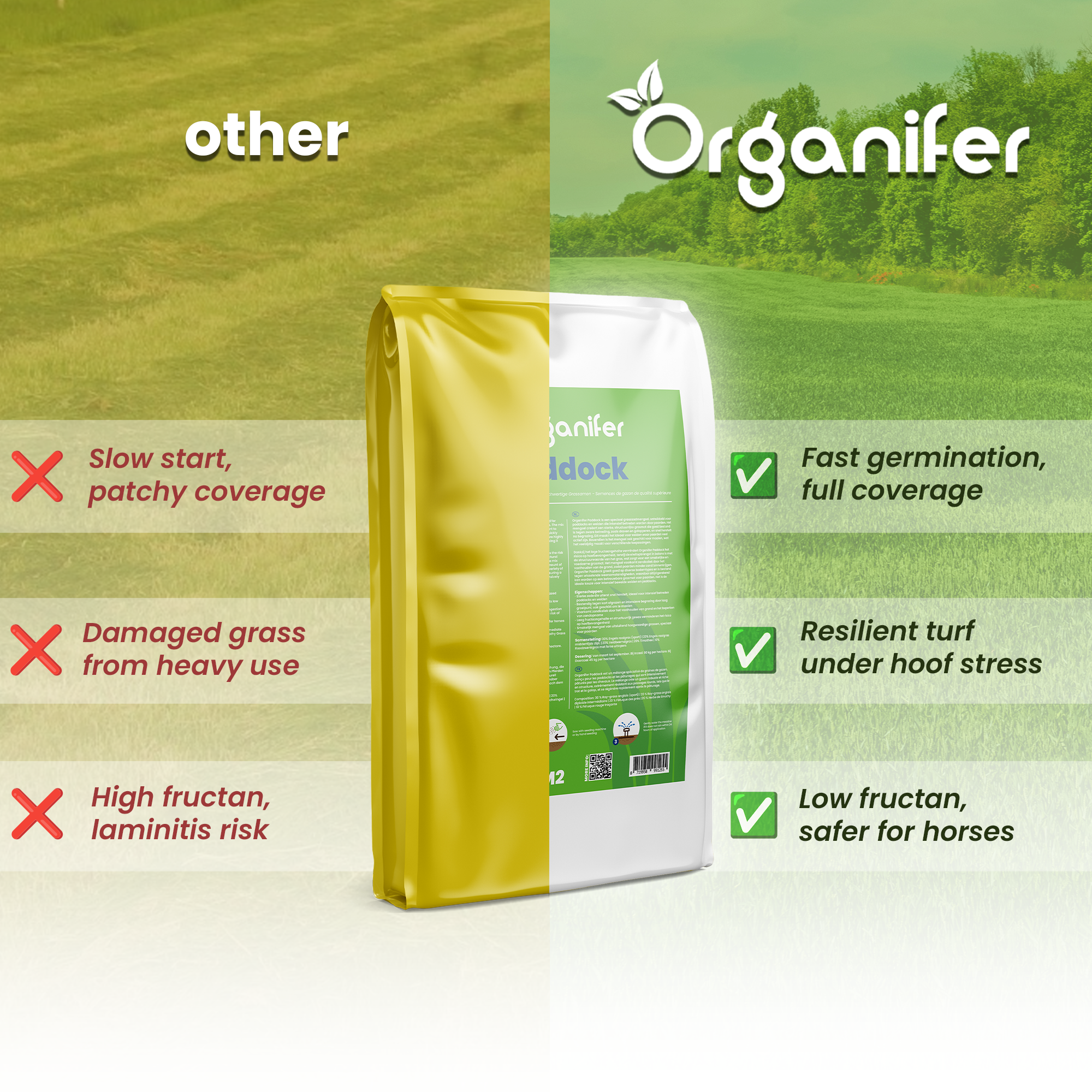 Paddock Grass Compare