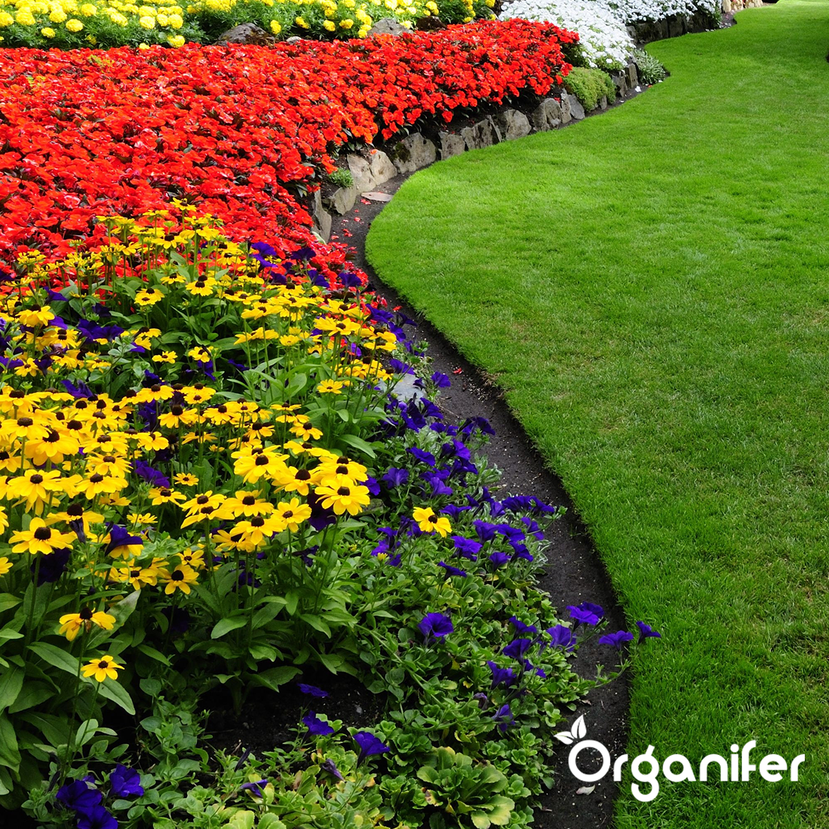 Universalgödsel Allt-i-ett Flytande (5 l - för 500 l)