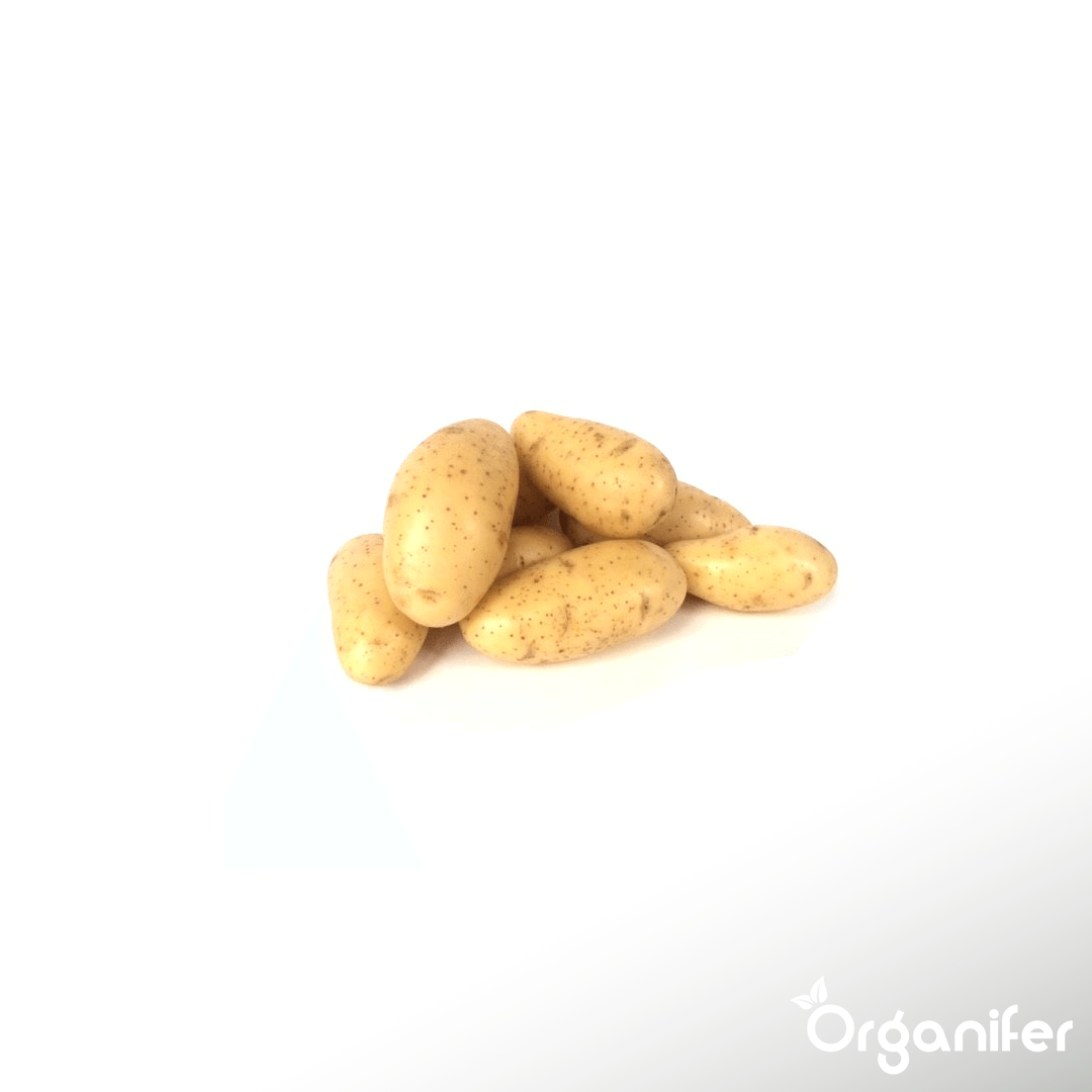 Potato Seeds Package 9