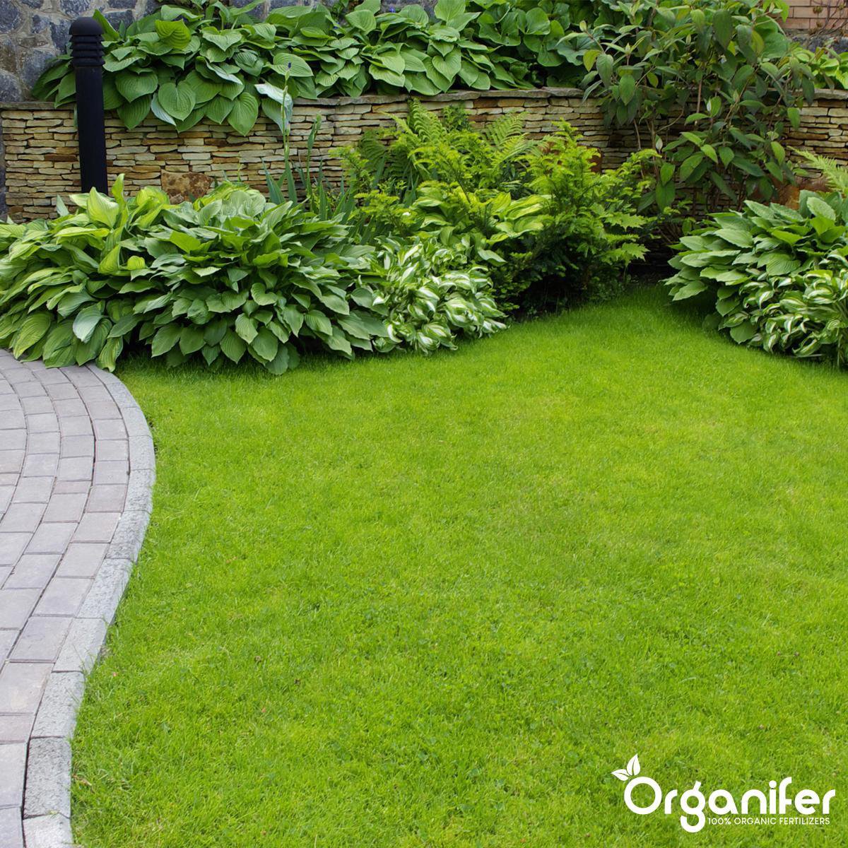 Koemestkorrels 3in1 (5 kg – voor 50 m2)