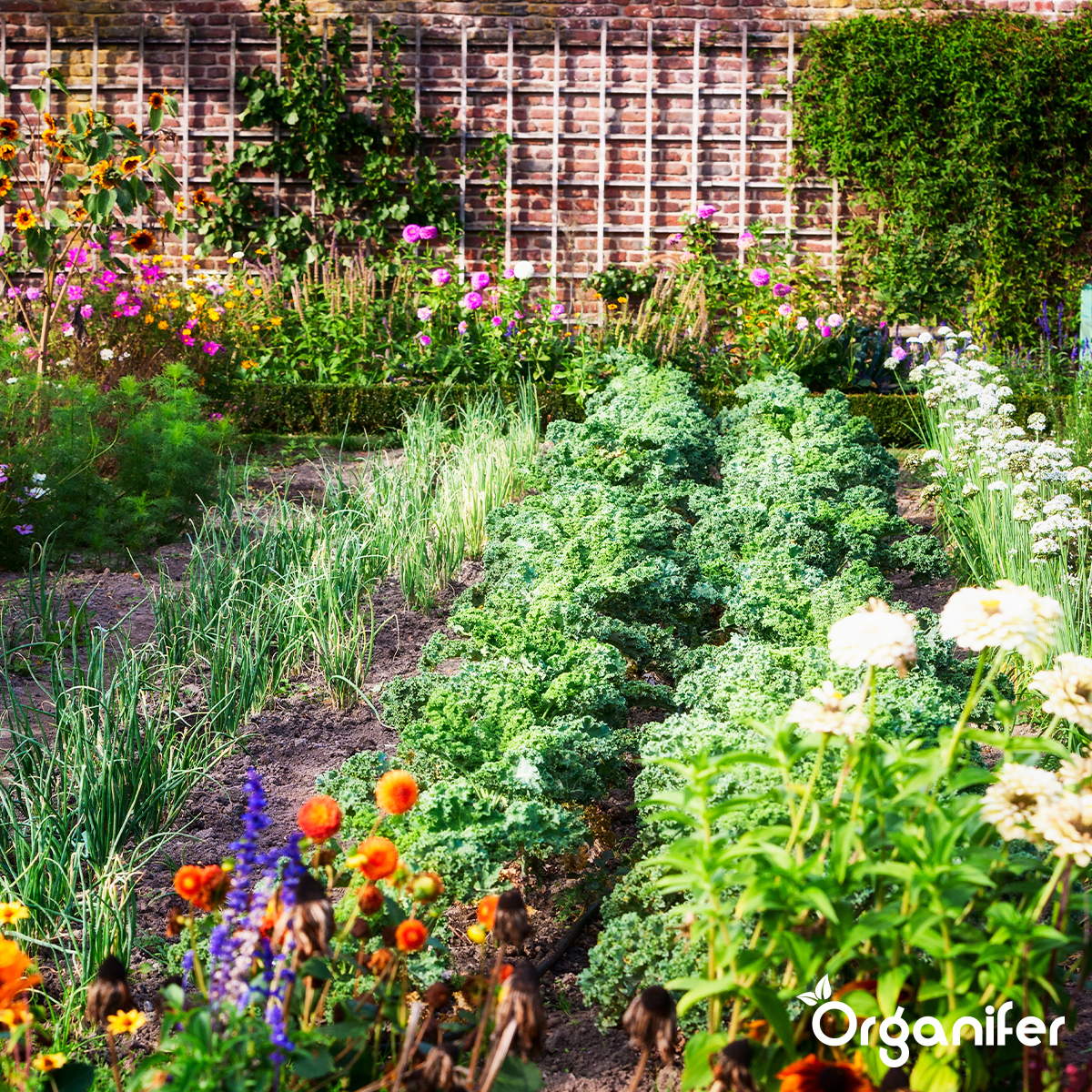 Kuhmistpellets 3in1 (Big Bag 750 kg – für 7.500 m2)