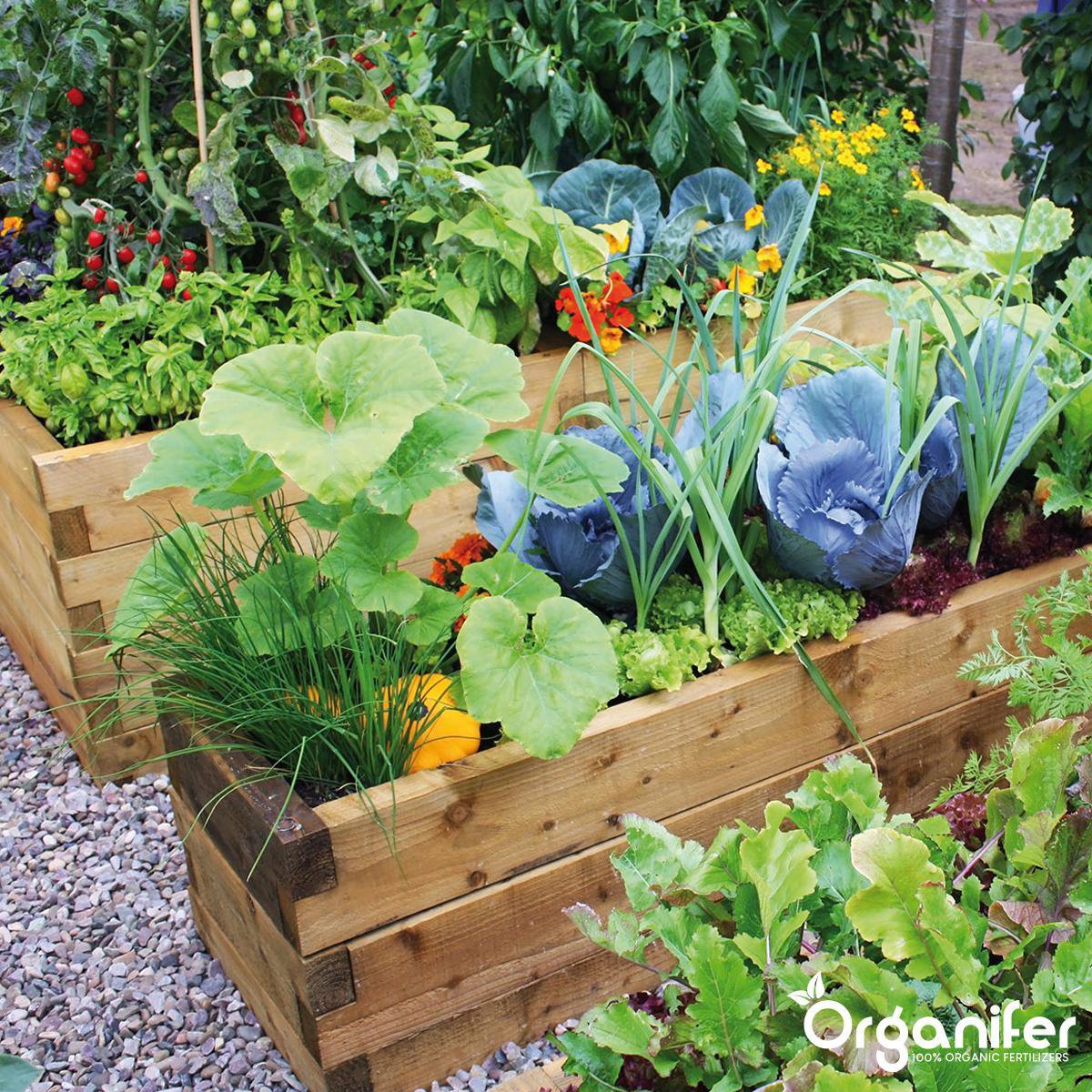 Koemestkorrels 3in1 (5 kg – voor 50 m2)