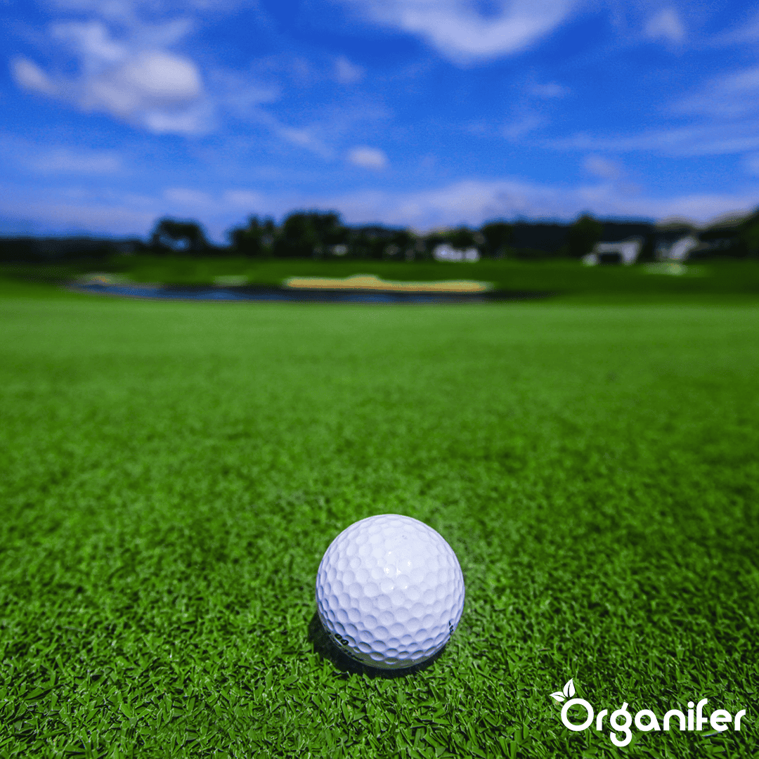 Pro Turf & Lawn Fertilizer - Controlled Release (40x = 800 kg – for 26.600 m2)