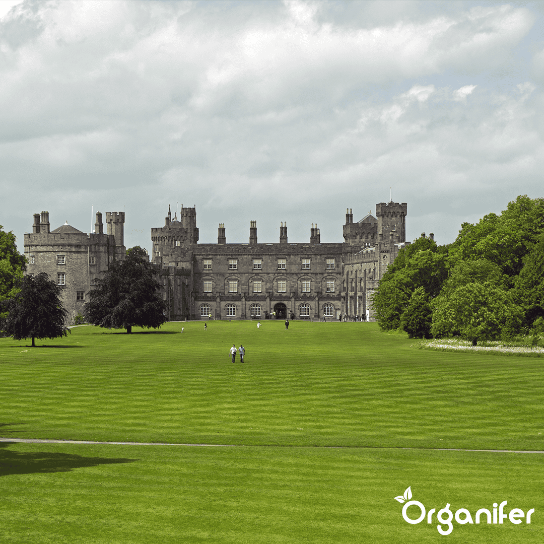 Pro Turf & Lawn Fertilizer - Controlled Release (20 kg – for 665 m2)