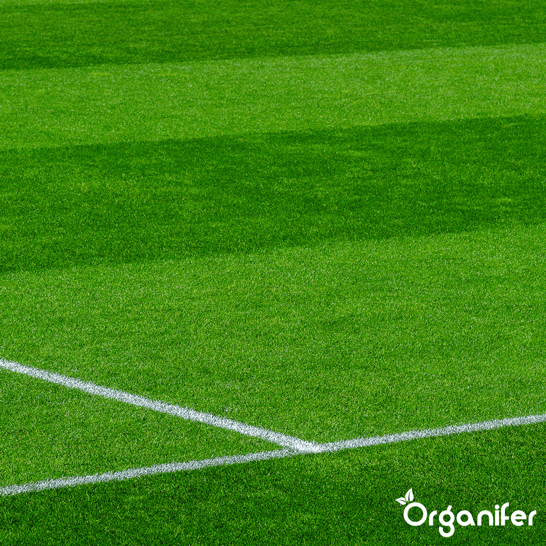 Pro Turf & Lawn Fertilizer - Controlled Release (20 kg – for 665 m2)