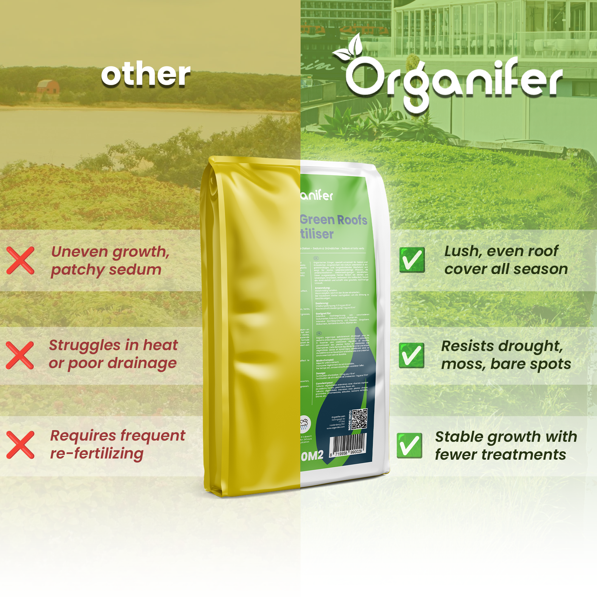 Sedum Roofs and Green Roofs Fertilizer Compare on English