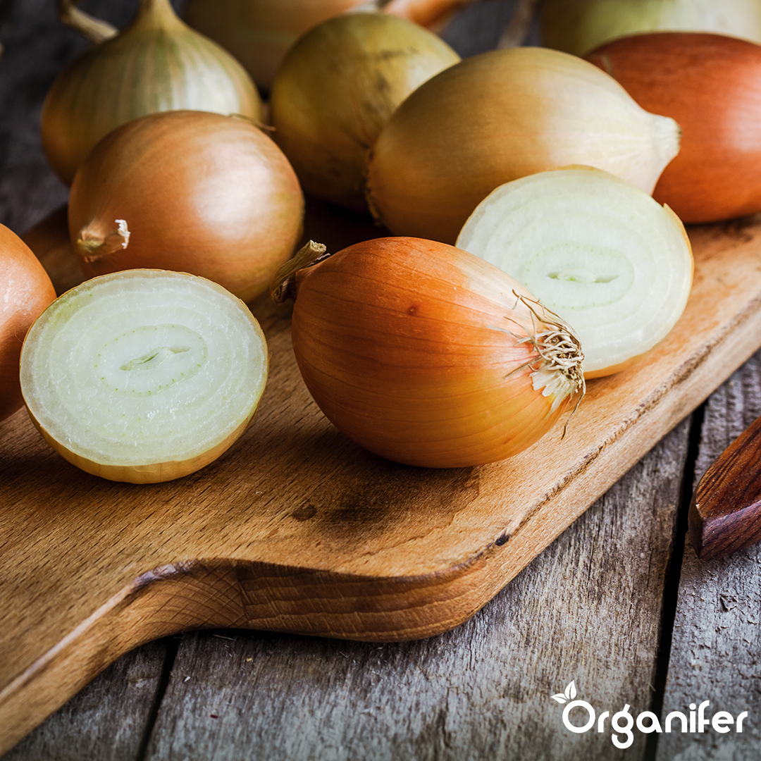 Shallots Sets Golden Gourmet 10