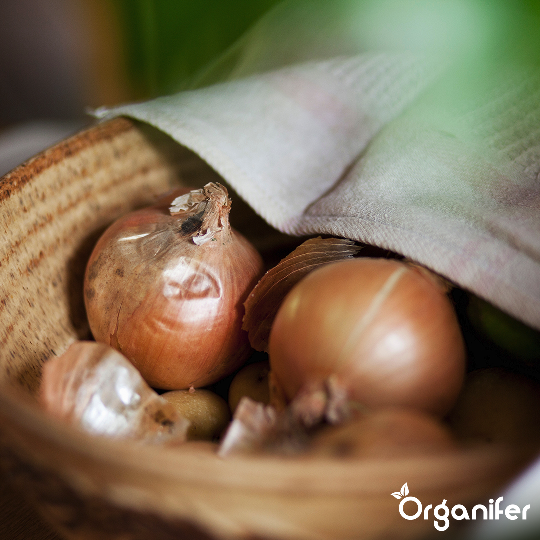 Shallots Sets Golden Gourmet 1