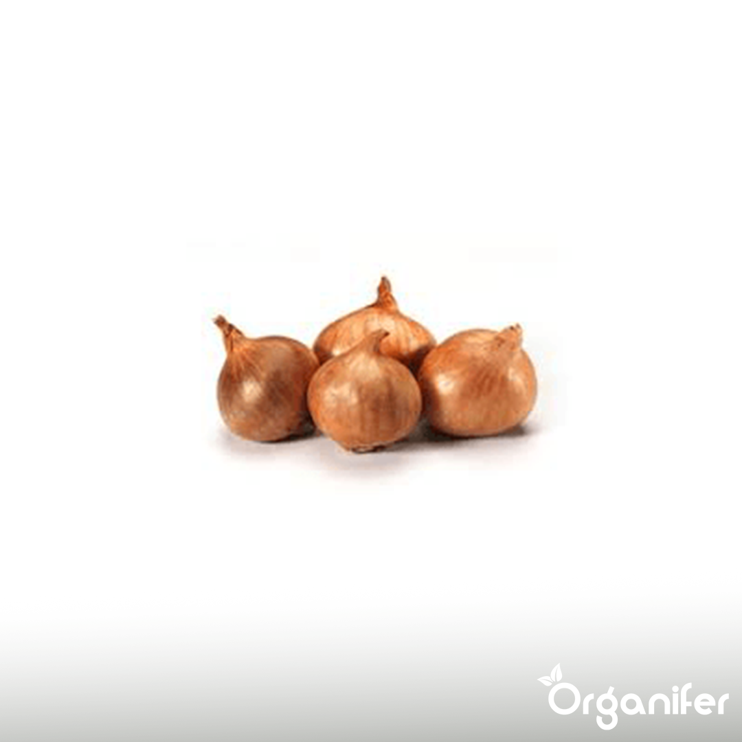 Shallots sets Golden Gourmet 7