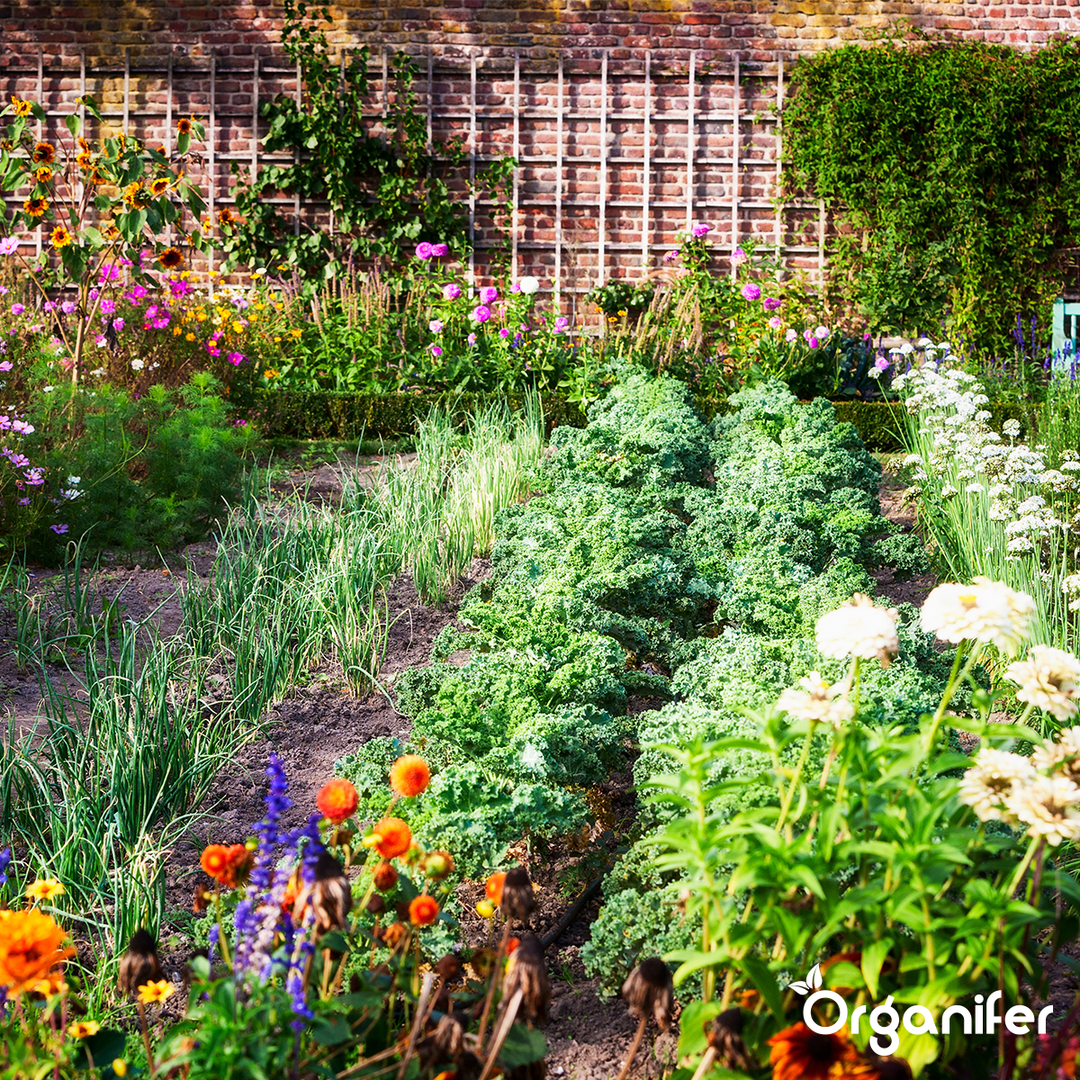 Jordsvampe Jordsvampkoncentrat – 250ml til 250 m2