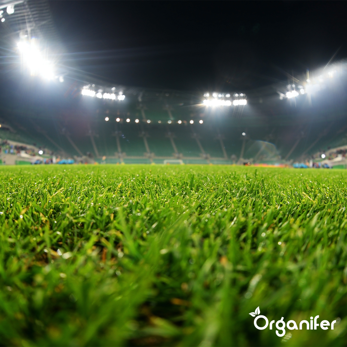 Topdressing pentru gazon - Amestec cu micorize și rizobacterii (50x = 2500 litri - pentru 2500 m2)