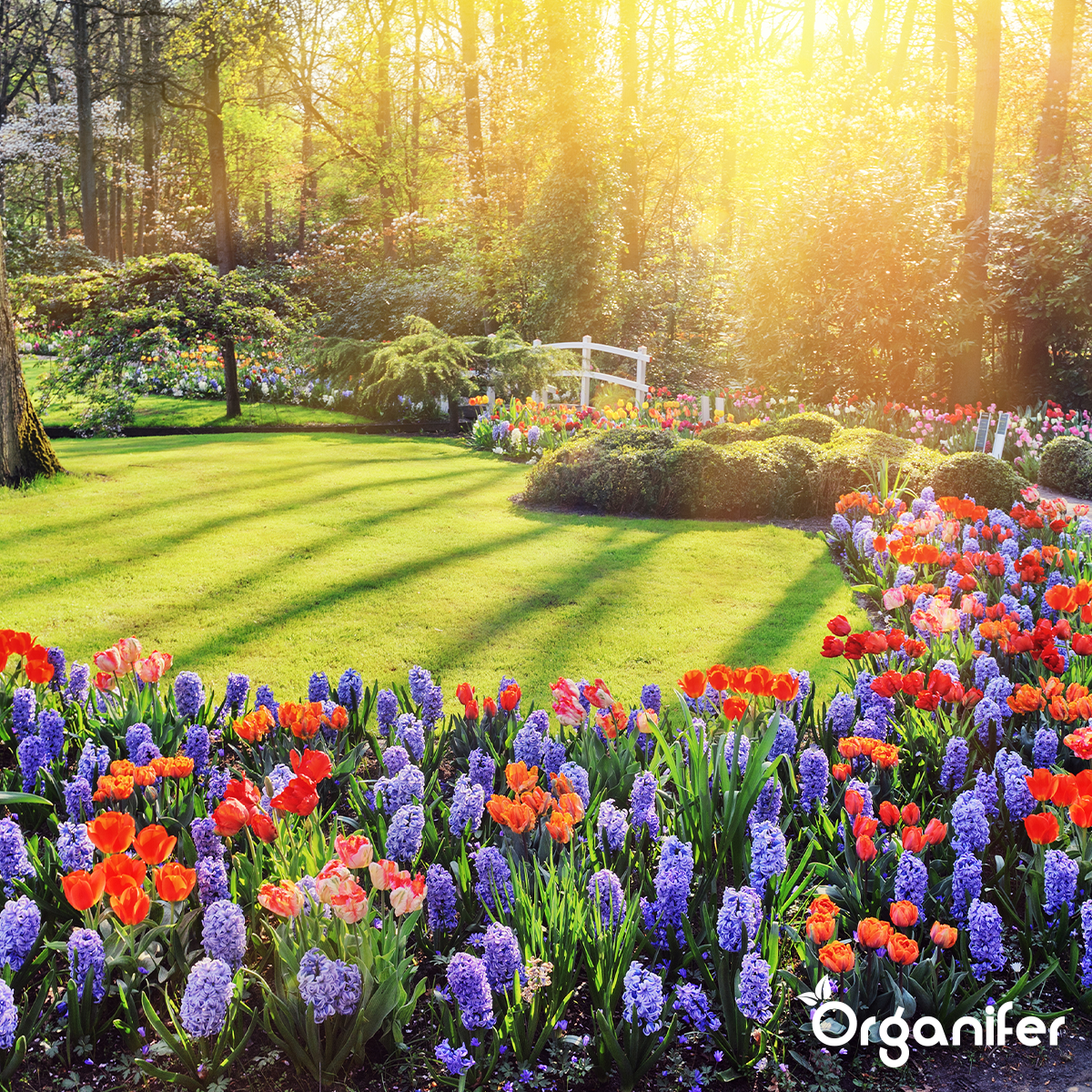 Gartendünger All-In-One (10x - 200 kg - für 2.000 m2)