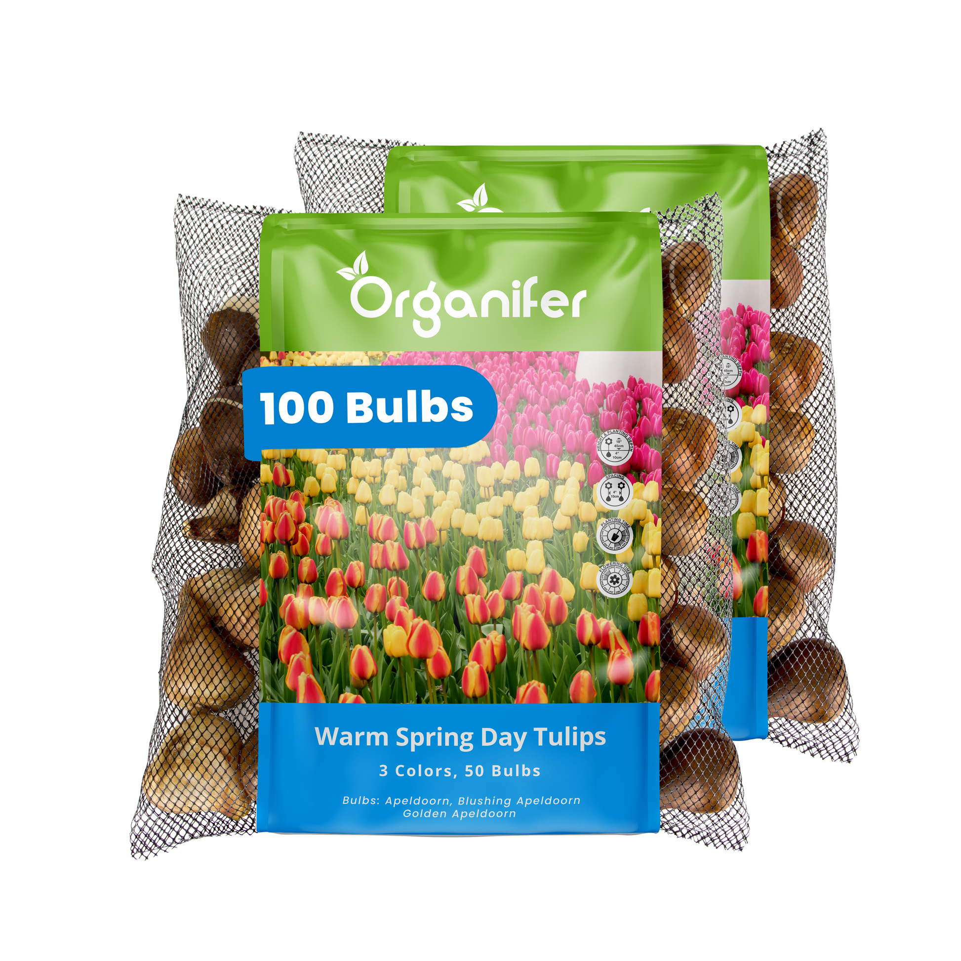 Two packages of Organifer tulip bulbs with colorful tulip illustration on a white background