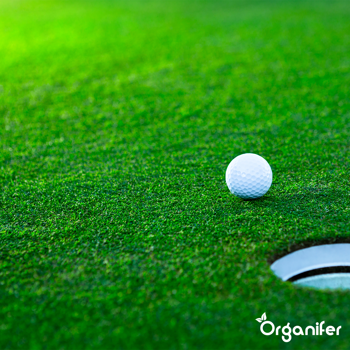 Flydende Gødning til Blomstringsfasen - Iron Power - 250 ml Koncentrat - til 125 l