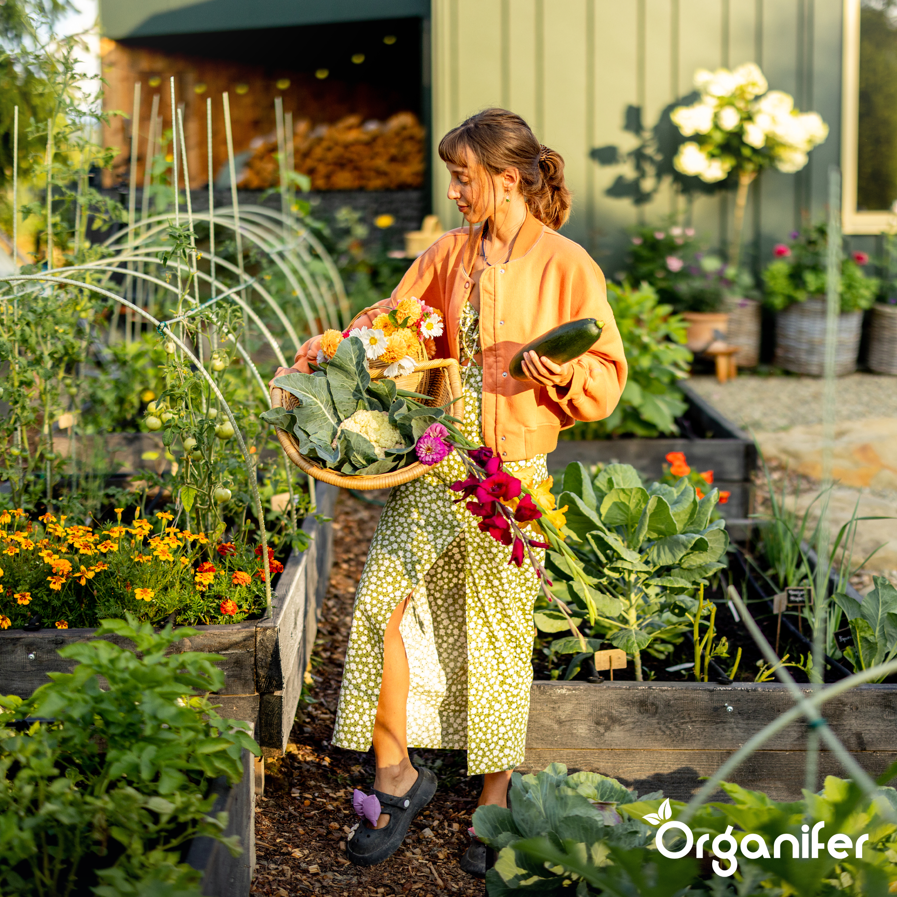 Wool Pellets Organic Fertiliser 5