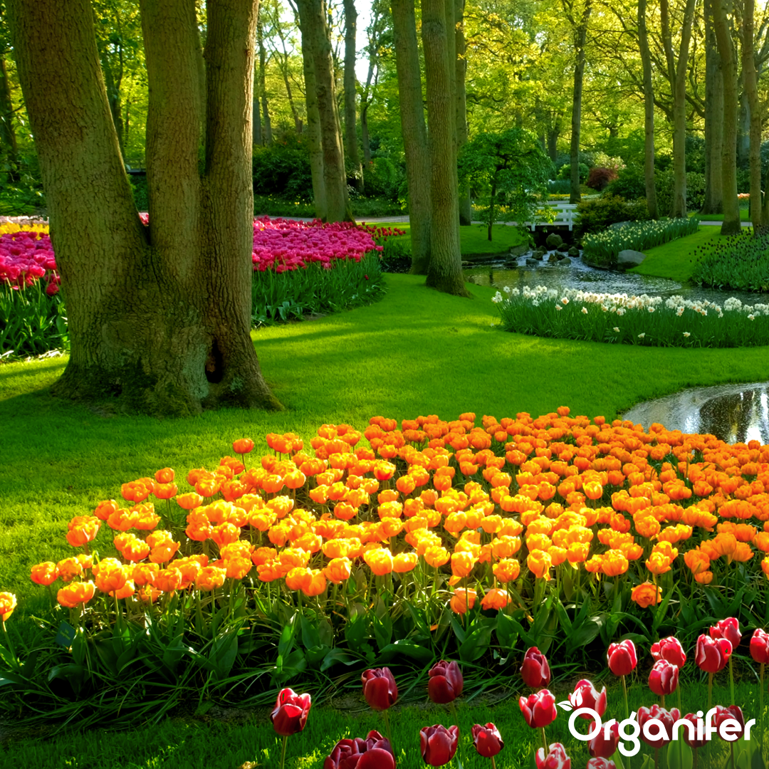 Yucca - Agent de umectare – 5 L pentru 50,000 m2