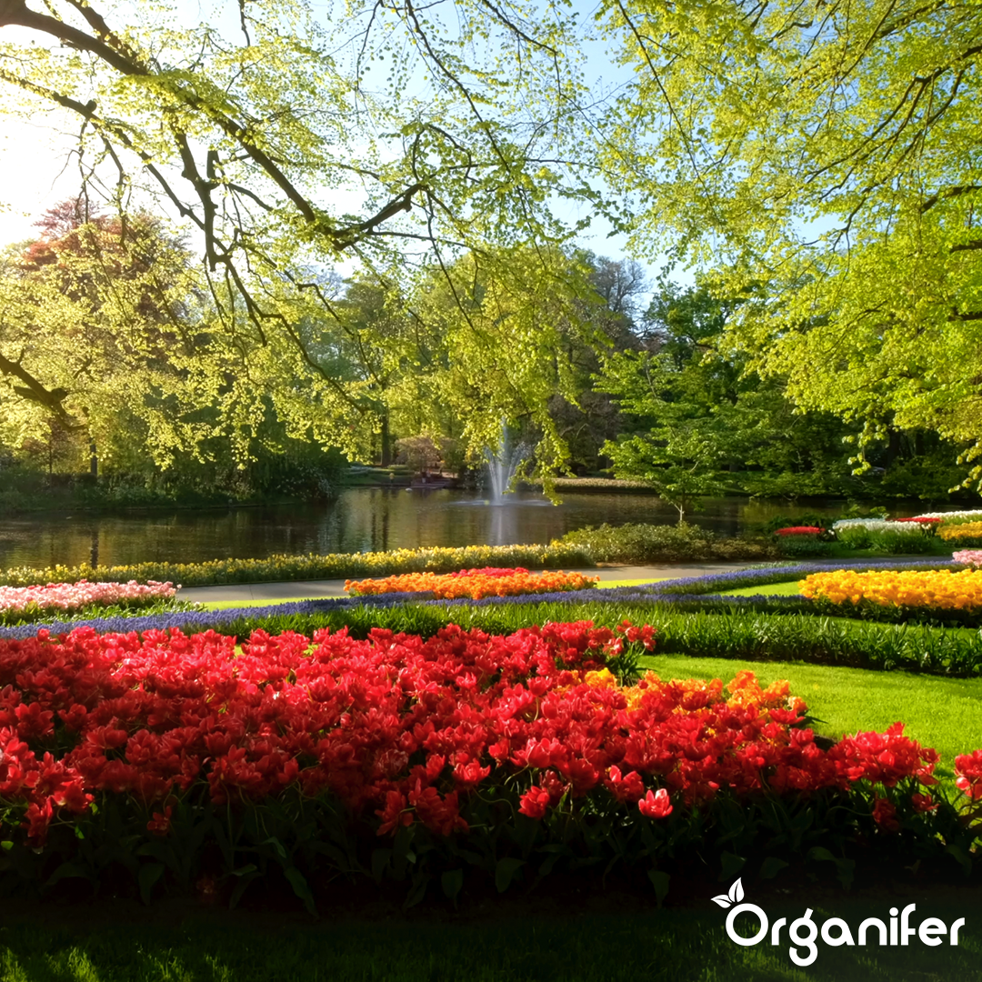 Yucca - Vätmedel – 10 L för 10 ha