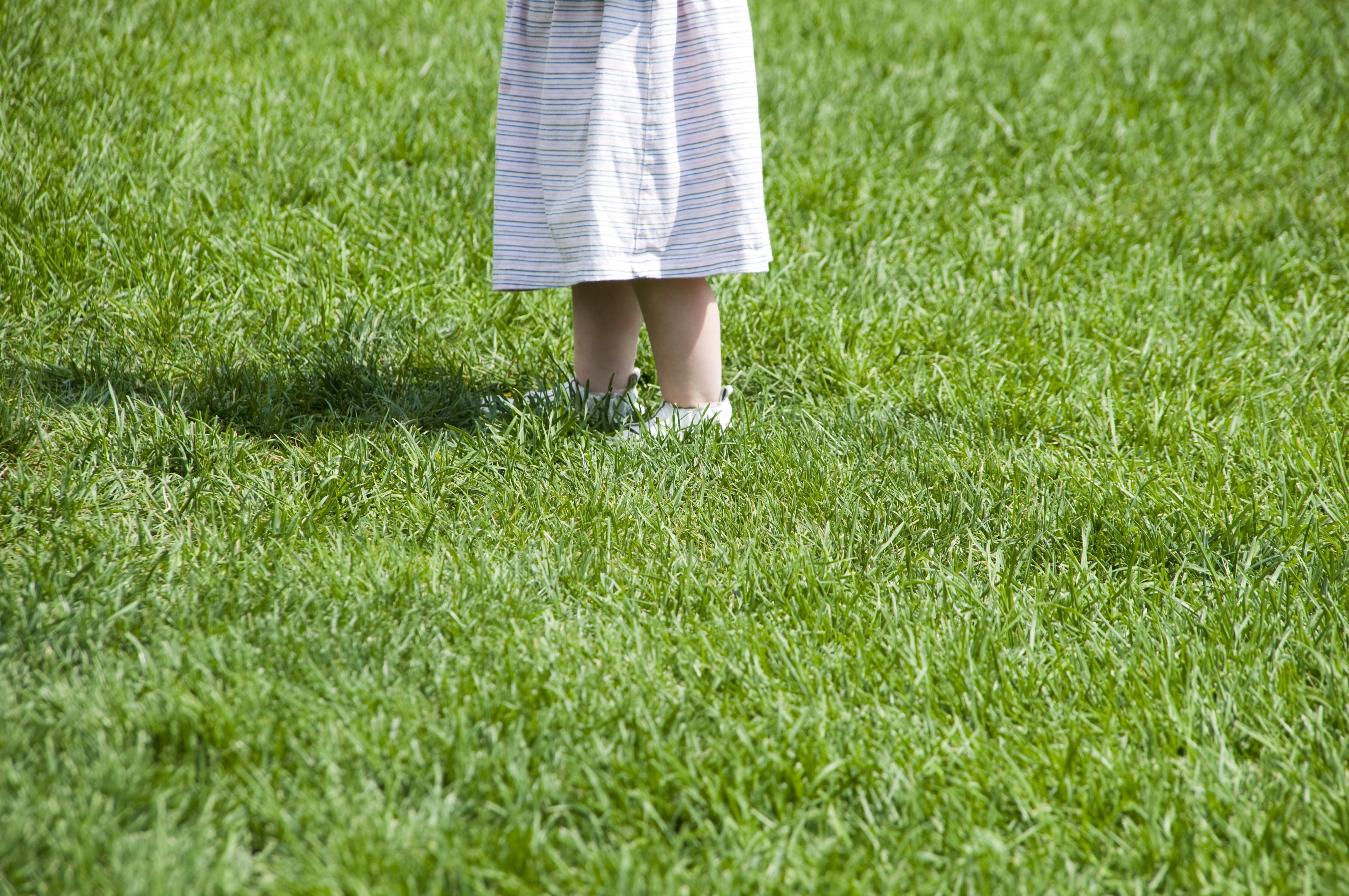 Dense, Durable & Wear-Resistant