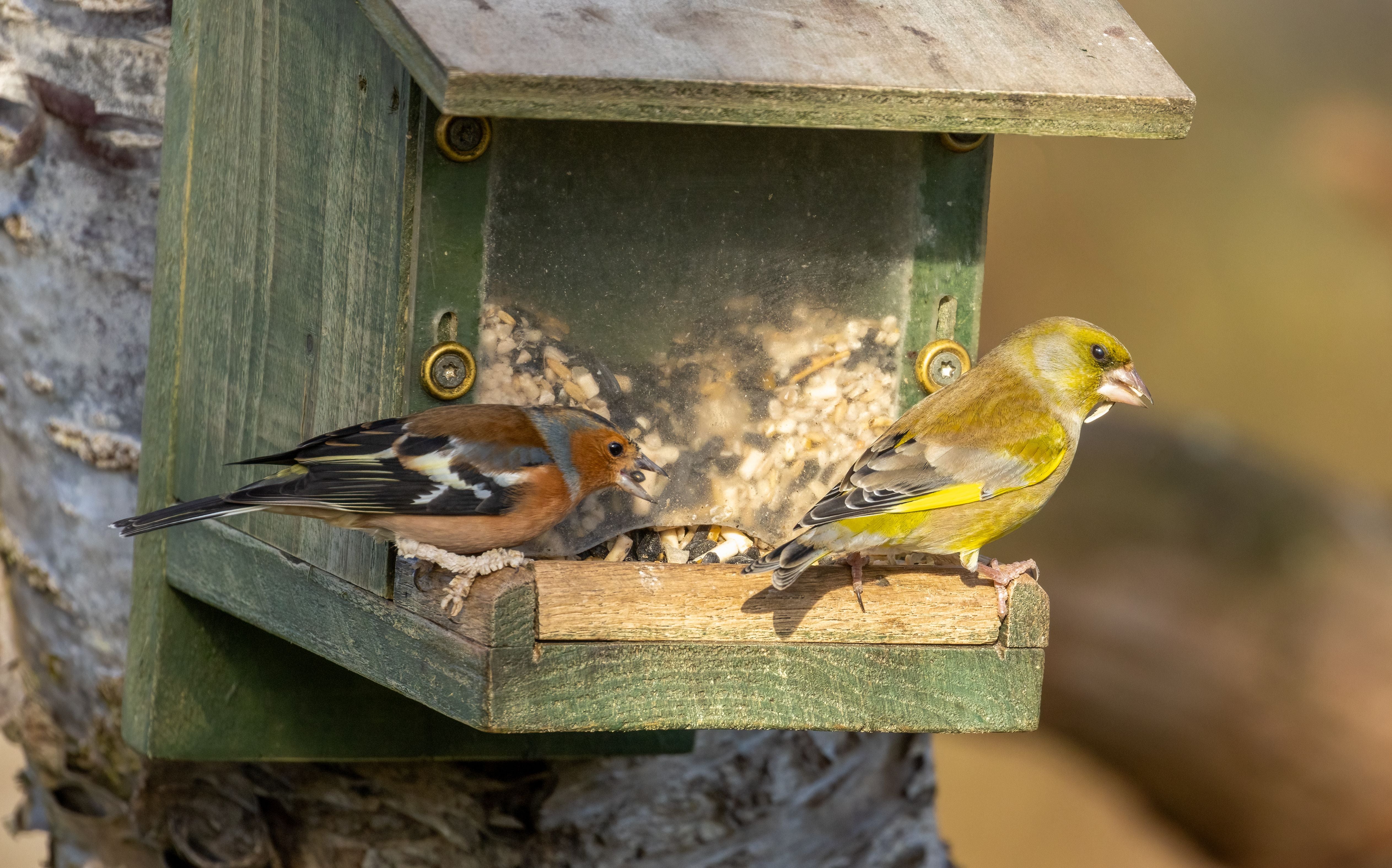 Clean & Weed-Free Feeding