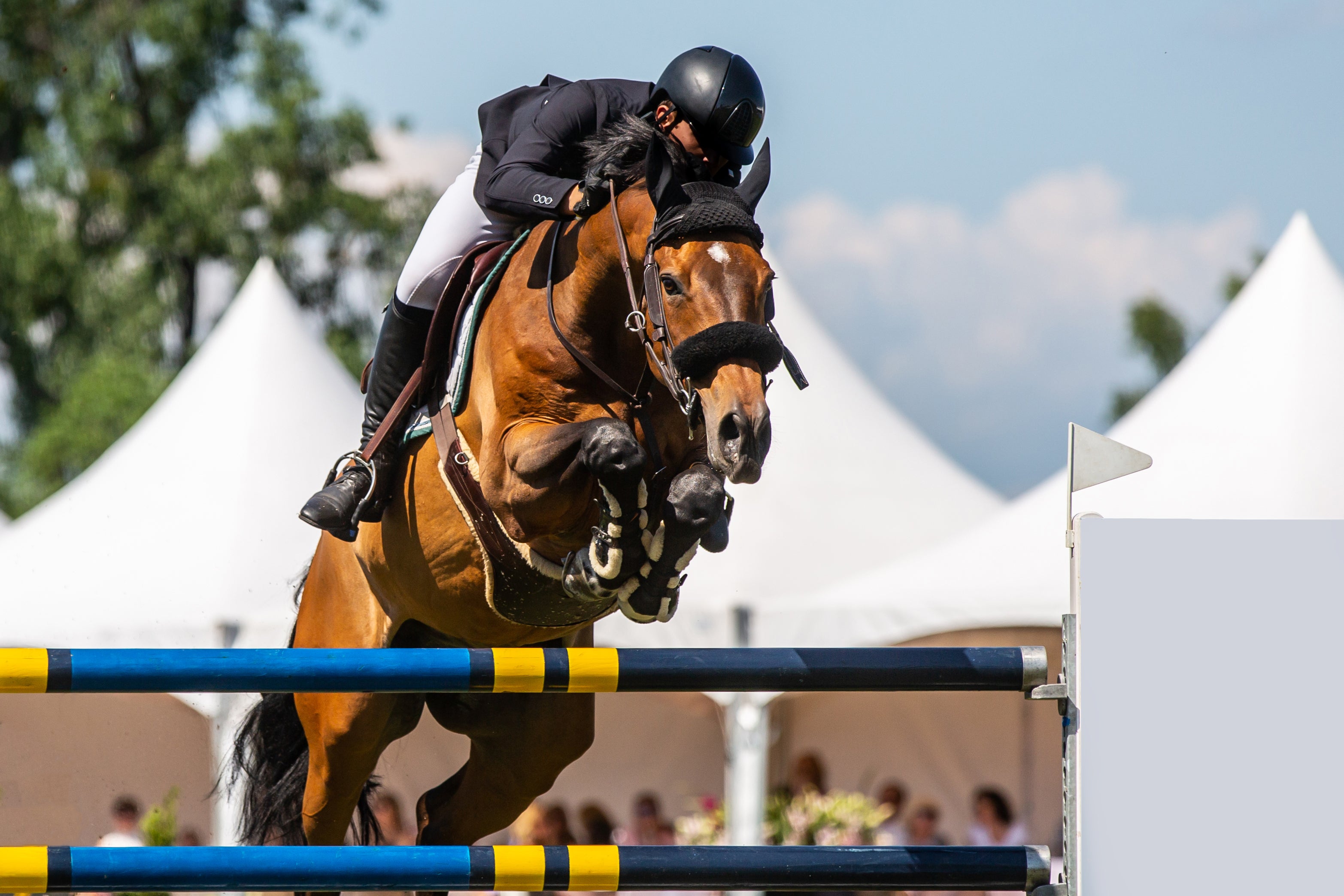 Conçu pour une utilisation intensive par les chevaux