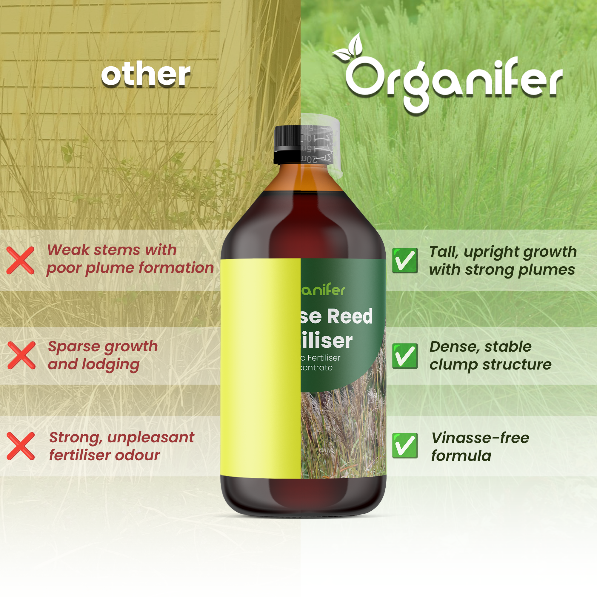 chinese reed comparison