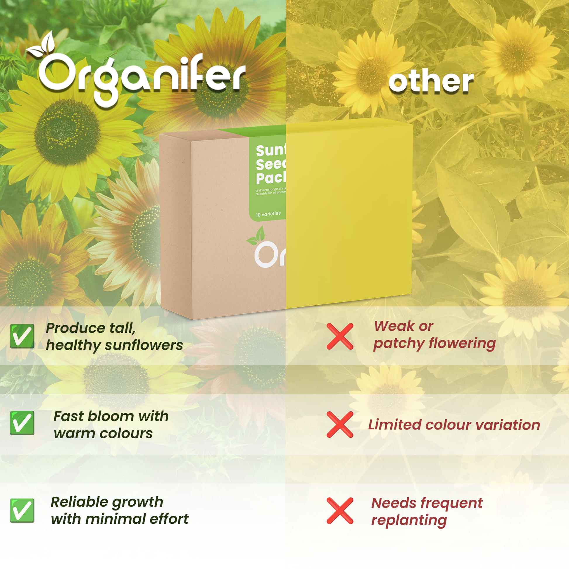 Sunflower Seed comparison