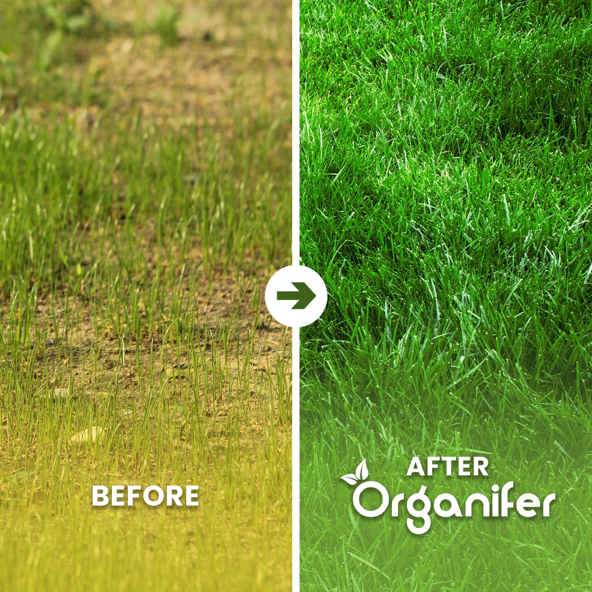 Scarifying Mix Before - after