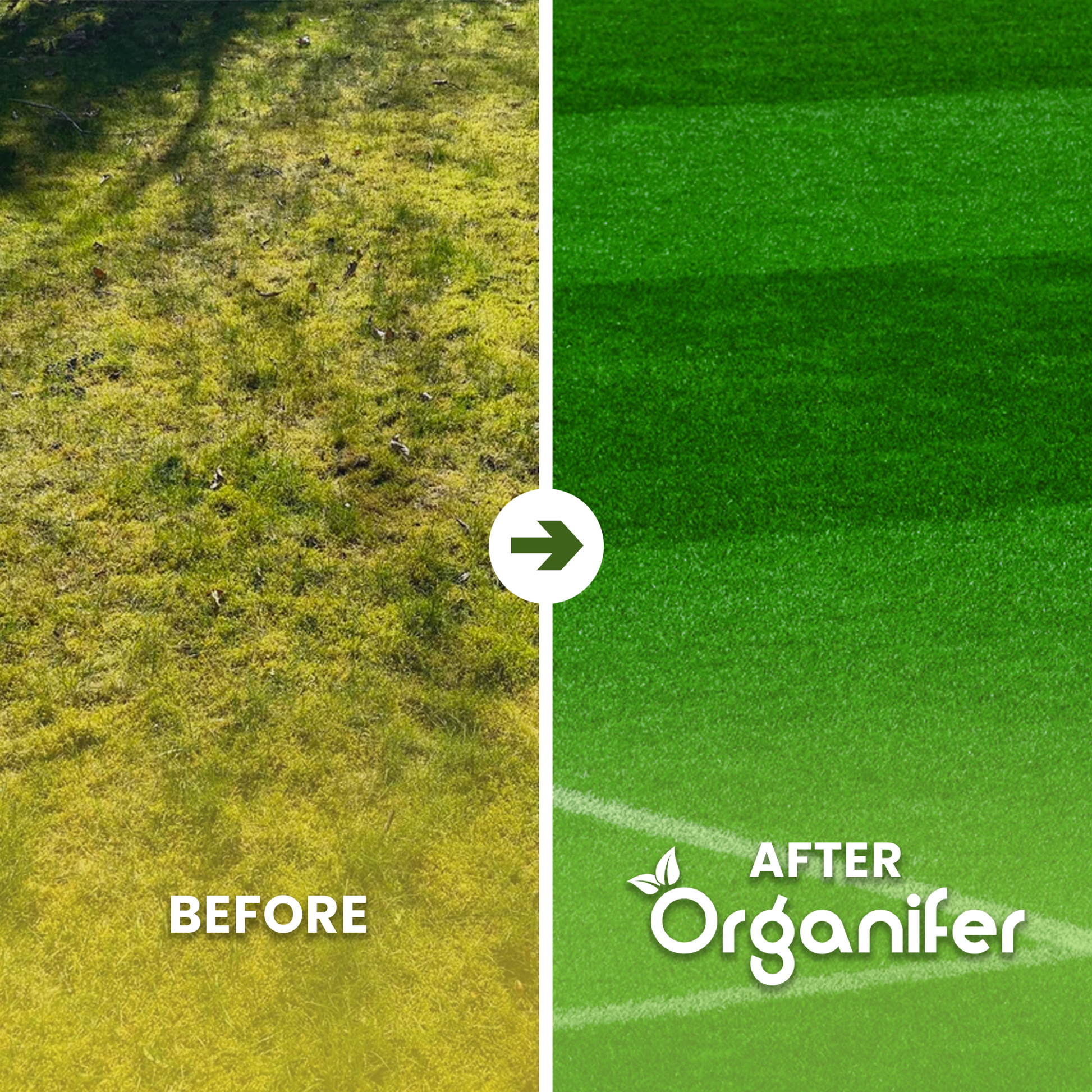 Pro Turf & Lawn Fertilizer Before - after